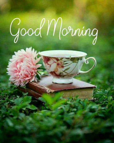 774ac8246cd279e14d14f573f710e6e0