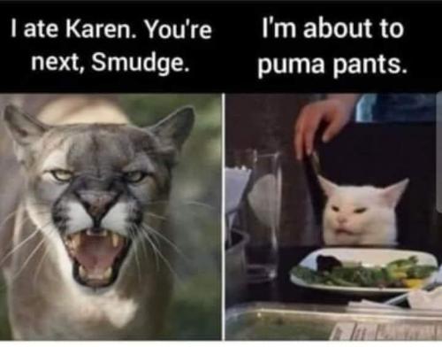 236866194_10158014482341426_7718542665487577085_n