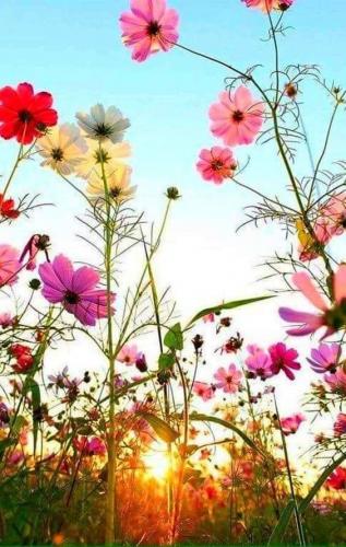 tumblr_d5e098203ec1a335347eeb4db6472847_c6e4041f_640