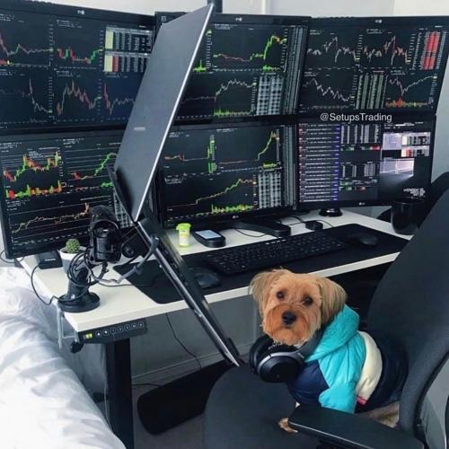 IMG_20210717_003322_174