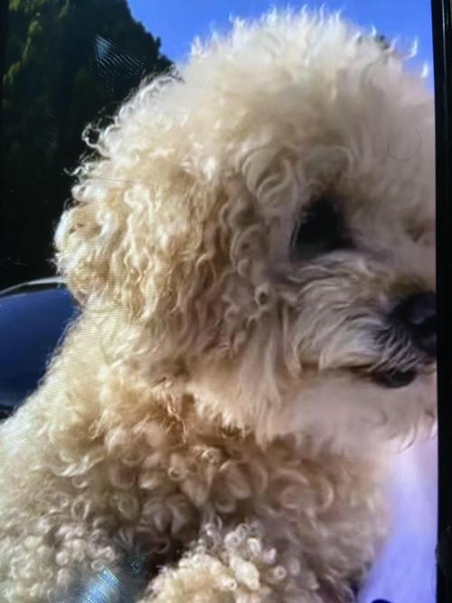 B2BA02DE-75F8-4AE0-854F-9343E63D46CE