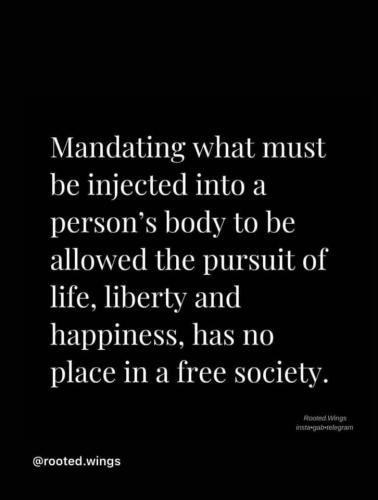 239458457_224634479619189_5020081306082527061_n