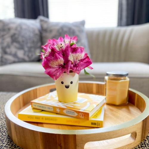 237315564_4260219900711611_6125279558752292037_n