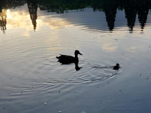 21:25:07 GMT-0700 (PDT)