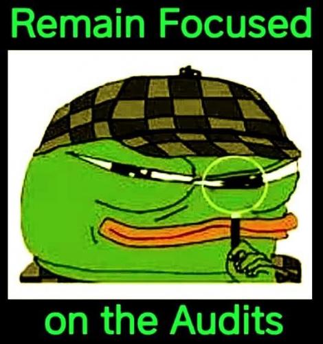 audits focused