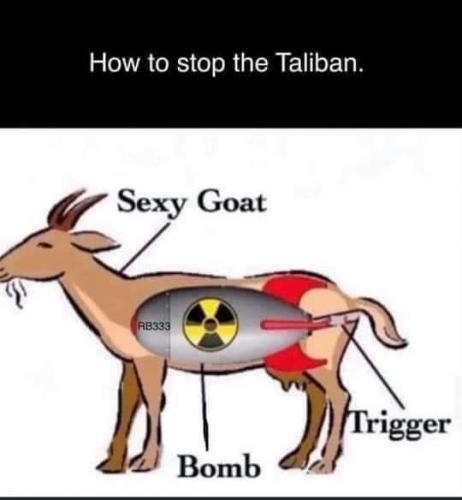 FB_IMG_1629755901824