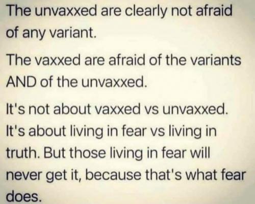 FB_IMG_1628197665376