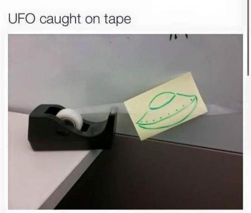 232554929_876892246540189_7409898905890601186_n