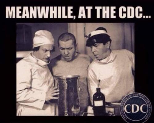 cdc16