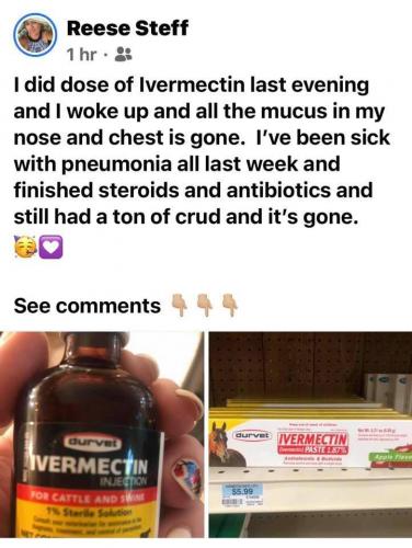 ivermectin