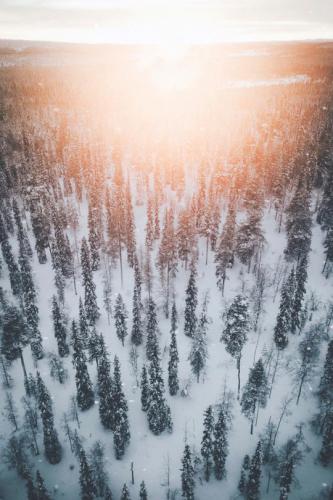 tumblr_pdgzpqYBlb1u8wonlo1_540