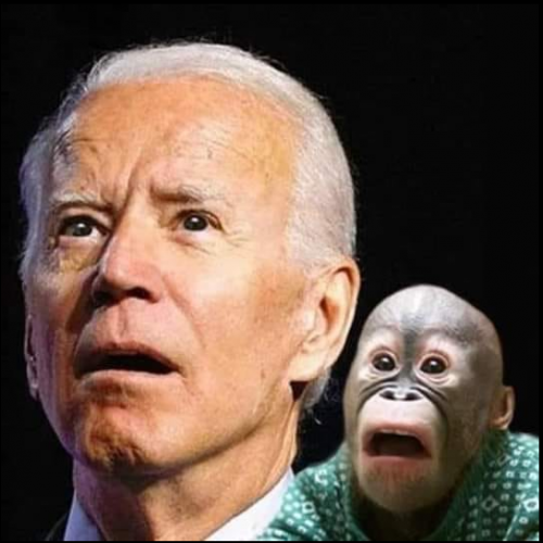 Biden Without A Clue