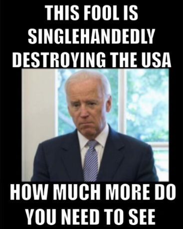 biden645