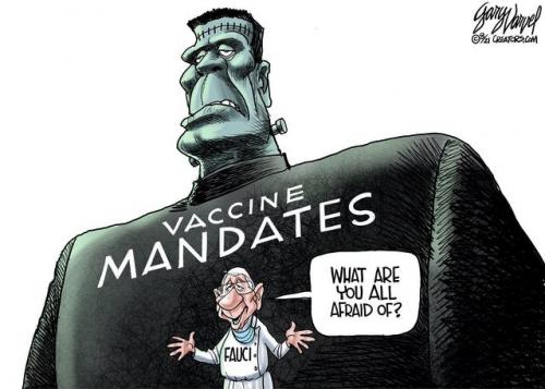 Vaccine Mandates and Fauci - meme