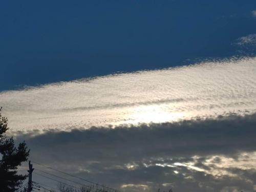 received_453276895640061