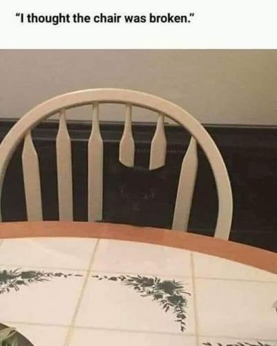 FB_IMG_1629712734255