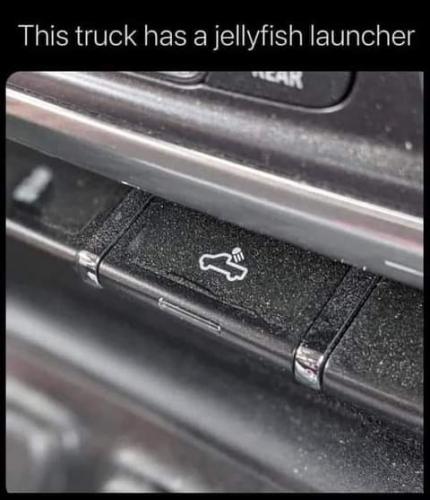 FB_IMG_1628883907370