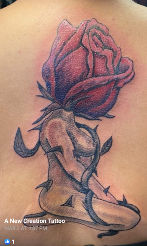 Screenshot_20210731-214756_(1)