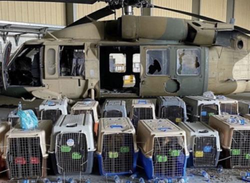 06:23:17 GMT-0400 (EDT).image