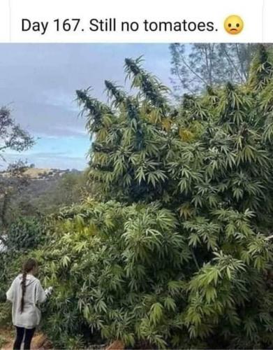 22:48:36 GMT-0400 (EDT)