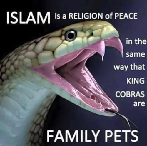 17424594_1431128393627413_4054146165478161604_n