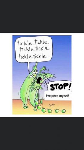 238838895_4404500256239917_6265899348106826744_n