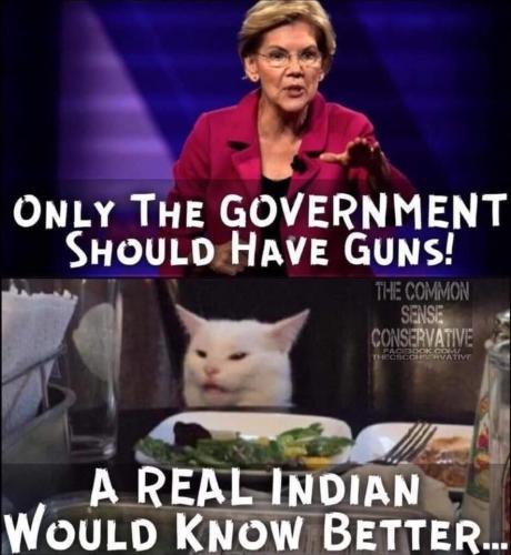 gov guns cat
