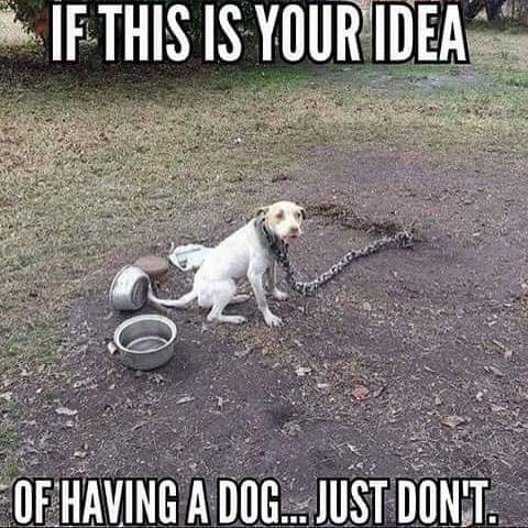 FB_IMG_1628526009153