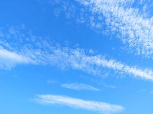 received_365872991701898