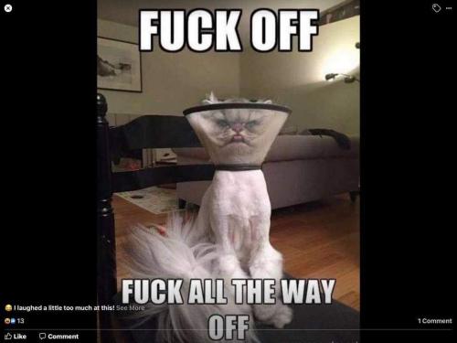 FB_IMG_1602989332937