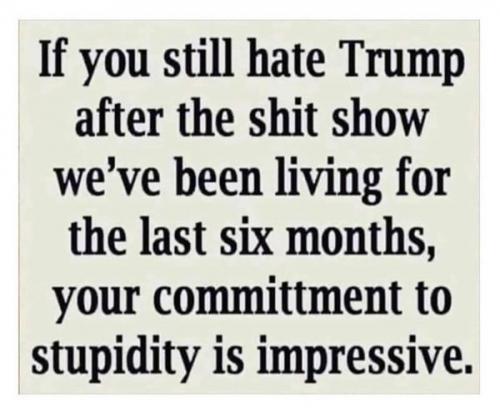 0ca878e57029a5104e542239311a6c80_1024