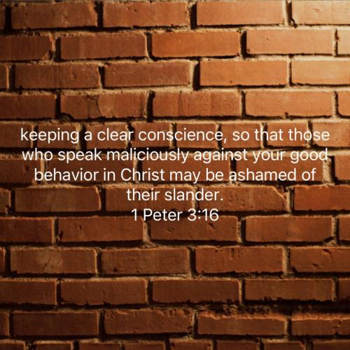 00:08:35 GMT-0400 (EDT).image