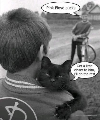 238140028_4641386372560790_5565678679779724895_n