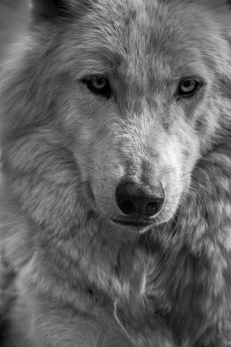 20:16:08 GMT-0500 (CDT)