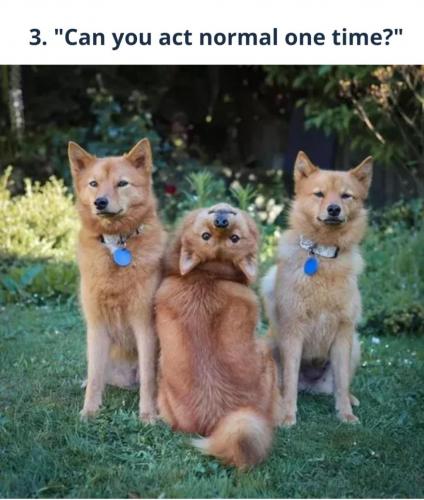 Screenshot_20210803-124828_Facebook