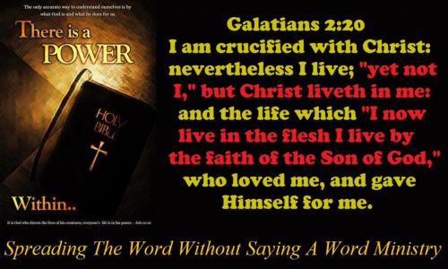 576960_288626924561083_1433081966_n