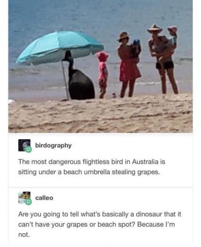 FB_IMG_1627804752276