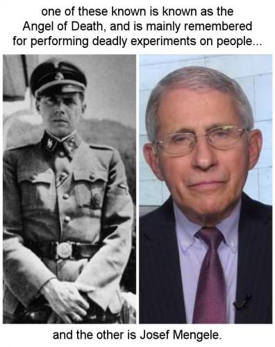 fauci107