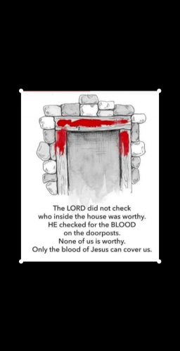 Screenshot_20210802-131038