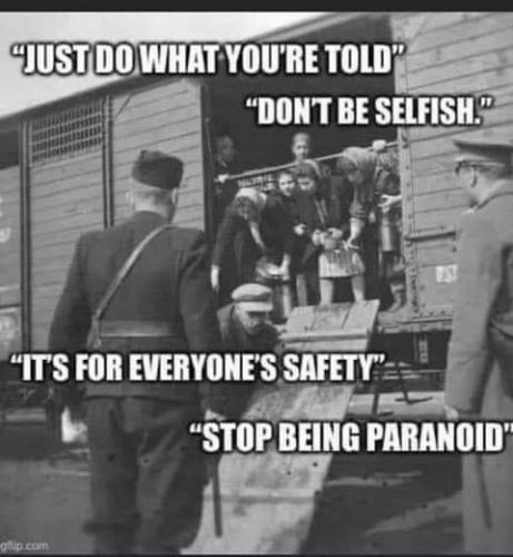 FB_IMG_1628112257851