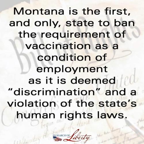 FB_IMG_1630094738732