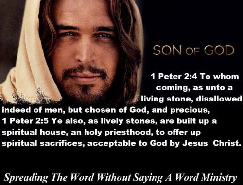 21032776_1508583092557150_7240236194705124703_n