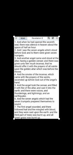 Screenshot_20210829-111016_Photos