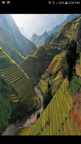 229581831_909355150012262_5384922197077221187_n