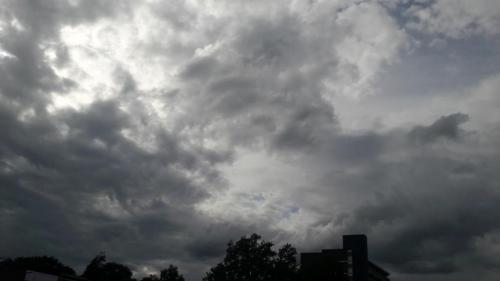 IMG_20210807_173938_501