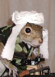 10:24:25 GMT-0400 (EDT)