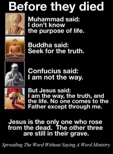 239454904_388478269514448_5227324592157267714_n