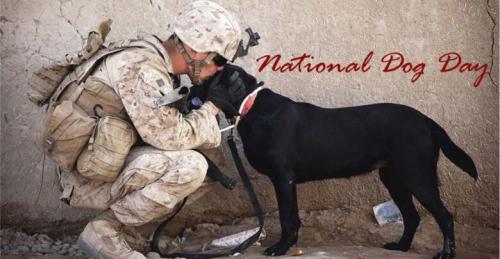 National-Dog-Day-1-780x405