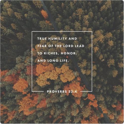 15:24:14 GMT-0400 (EDT).image