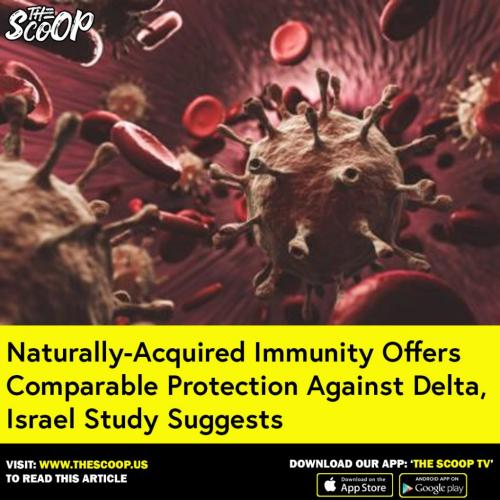 239888370_1482251155524354_1125960118698051227_n